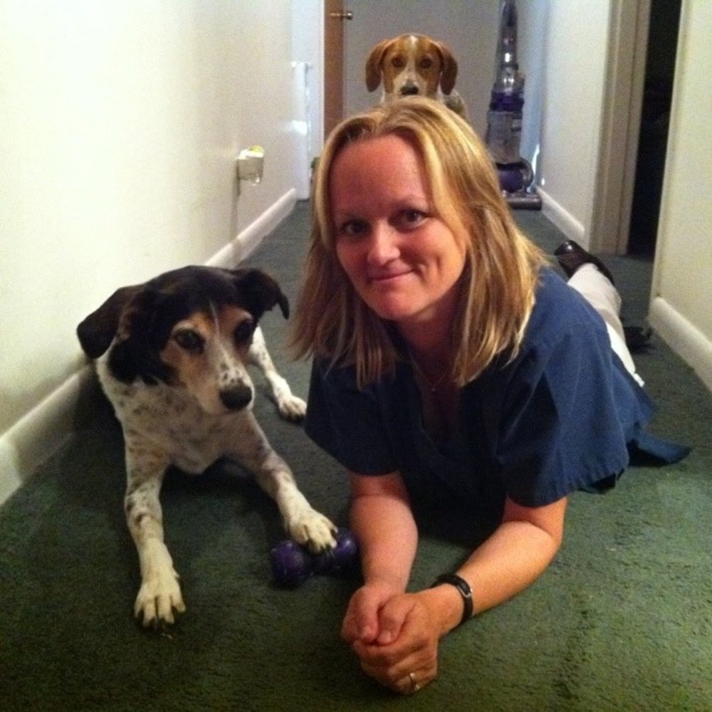 Meet your Posher, Sean